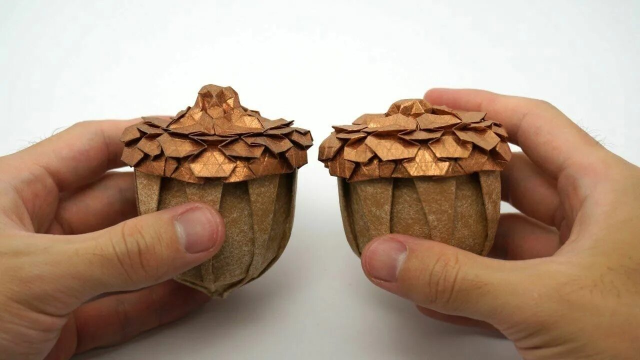 коробка подарочная желудь. желуди в коробке. коробка желуди мастодон\. коробочка желудь. поделка желудь из бумаги.