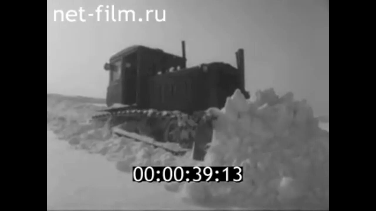 Тобольский совхоз. Киножурнал нижнее поволжье совхоз федоровский саратовской области. отзывы о совхозе тобольский оренбургской области.