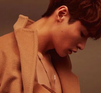 Lay video