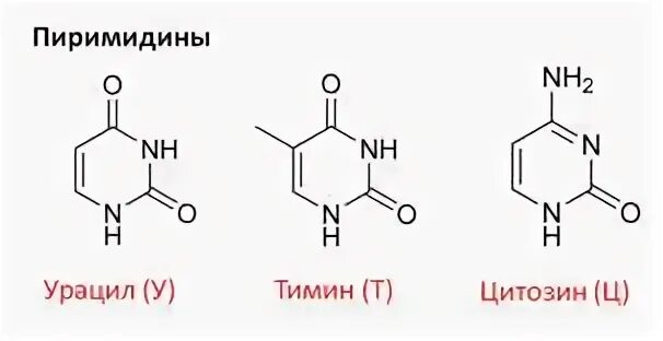 Нуклеотид урацил