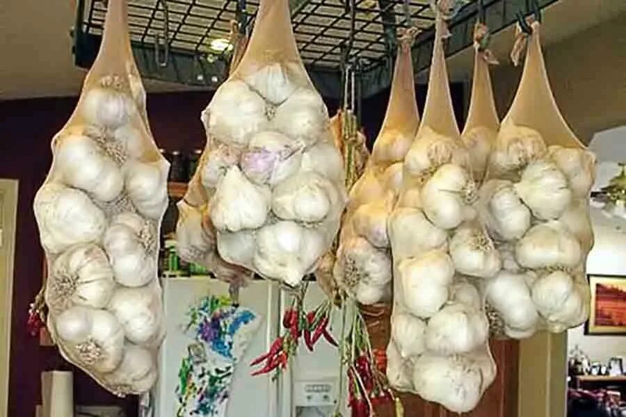 Хранение чеснока в стеклянных банках на зиму. Хранение чеснока в стеклянных банках. Как хранить чеснок в квартире зимой. Чеснок в стеклянной банке. Хранение чеснока в стеклянных банках.