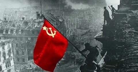 Мирные победили