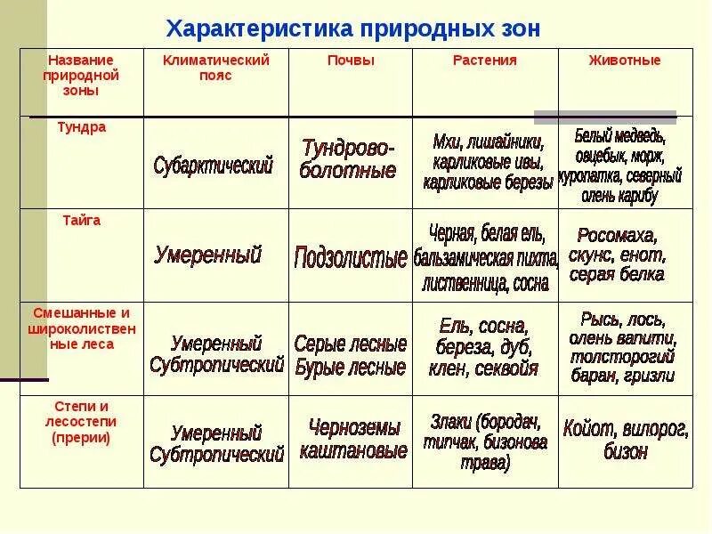 Характерные черты природных зон. Классификация природных зон Северной Америки таблица. Таблица Северная Америка природные зоны растения и животные почвы. Характеристика природных зон Северной Америки таблица. Природные зоны Северной Америки 7 класс таблица.