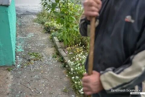 Житель колы