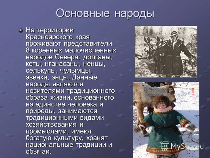 Народы живущие в красноярском крае. Марал красноярские столбы. Народы красноярского края. Животный мир красноярского края. Традиции народов севера.
