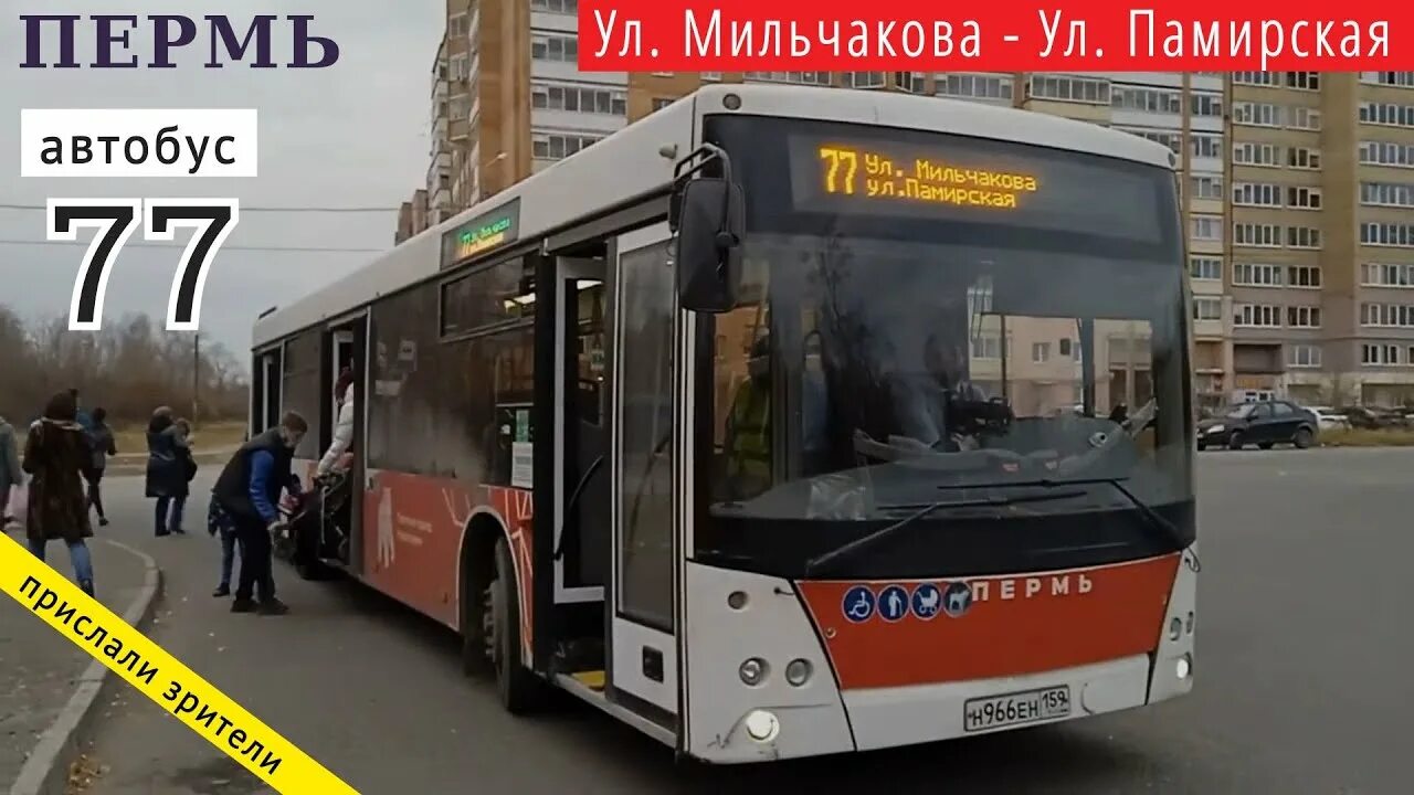 77 Автобус Пермь. 50 Автобус Пермь. Маршрут 77 автобуса Пермь. Пермский автобус пятьдесят мест.
