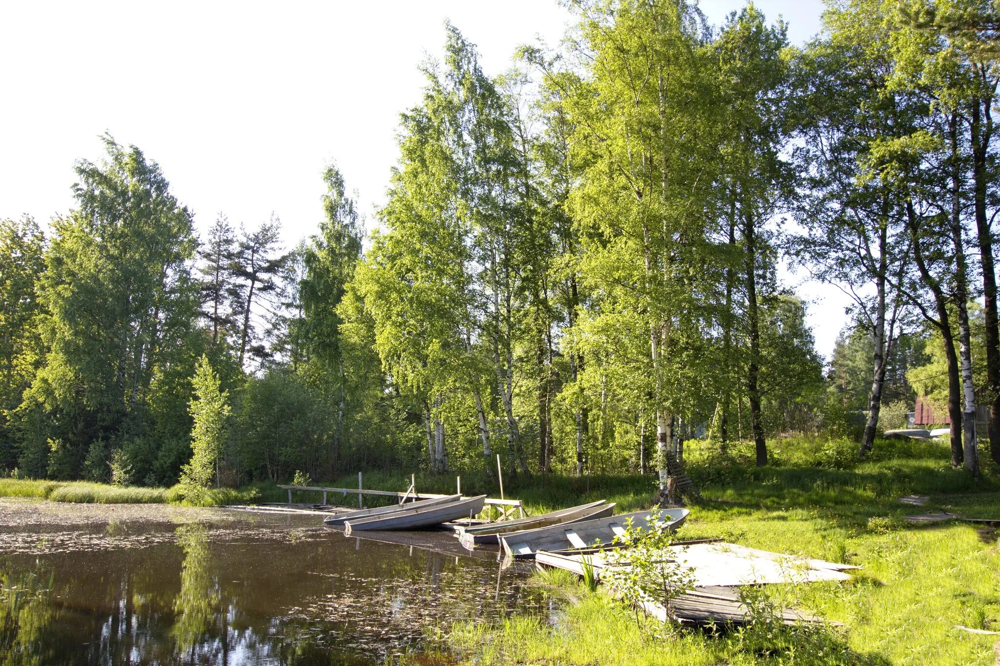 Вуокса парк Лосево. Лосево парк Приозерский район. Лосево парк база. База отдыха ЛО.