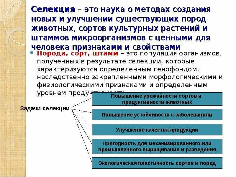 Селекция это наука о методах создания новых. Селекция 9 кл презентация. Культурная селекция это. Модели сортов и пород это.