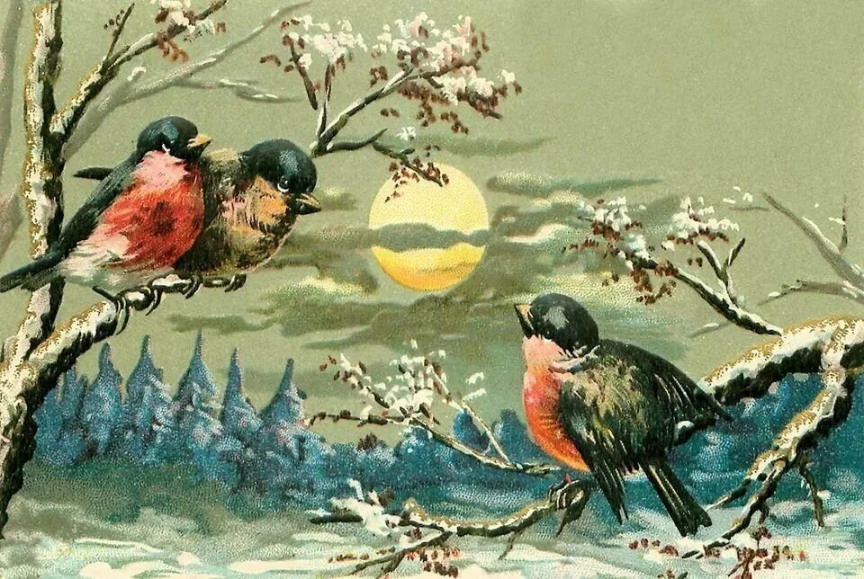 Песня последней птицы. Ретро новогодние птички. Новогодние открытки с птичками. Новогодние открытки с птицами. Птицы в старинной живописи.