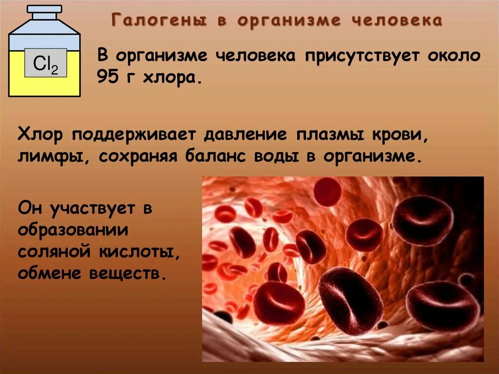 Тело брома. Галогены в организме человека. Галогены в теле человека. Биологическое влияние галогенов на организм человека. Влияние галогенов на организм человека кратко.