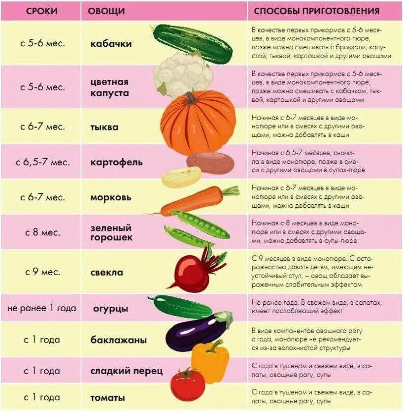 Со скольки месяцев можно огурец