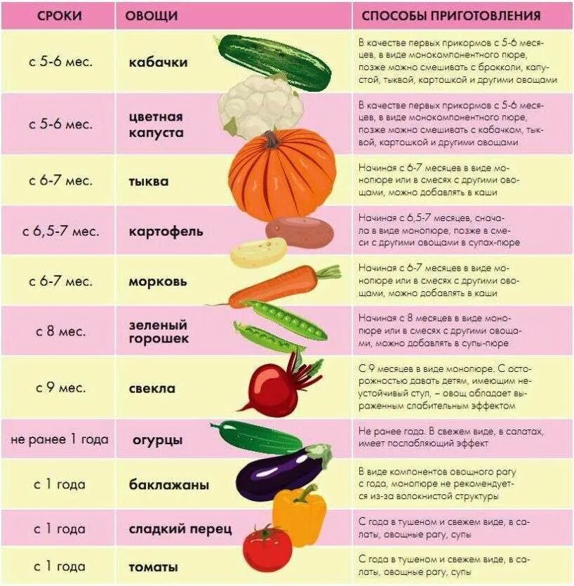 Первый прикорм для грудничков таблица. Схема введения овощного прикорма. Схема первого прикорма с 6 месяцев. Схема ввода овощного прикорма. Пюре со скольки можно давать детям
