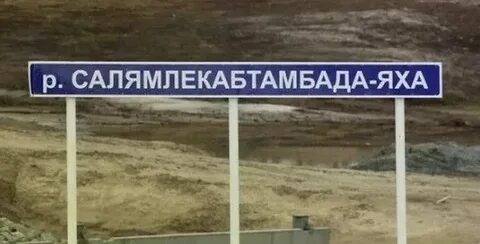 Песня яхи яха