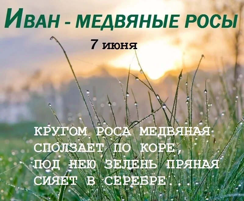 С праздником иван медвяные росы. Медвяная роса. Роса медвяная значение. Кругом роса медвяная. Роса медвяная значение.