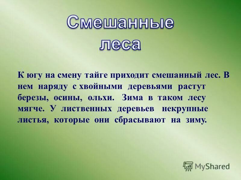 Как далеко в лес может забежать. Как далеко в лес может забежать. Как далеко в лес может забежать. Как далеко в лес может забежать. Шел заяц загадка.