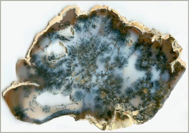 моховой агат камень. моховые агаты. моховой агат камень. моховые агаты. пейзажный моховой агат.