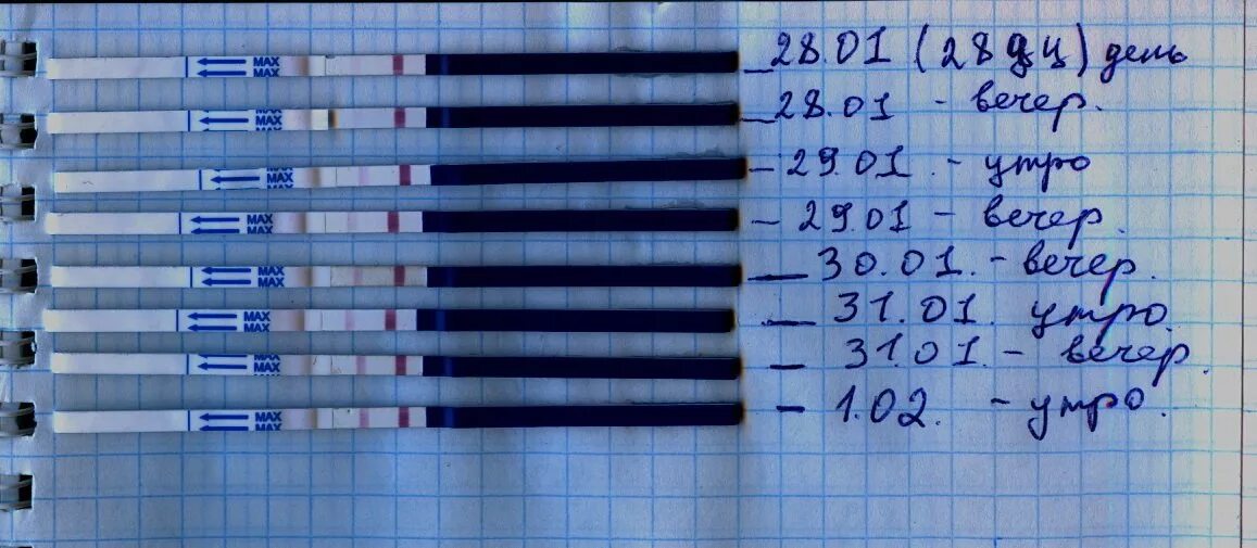 Тест на беременность до месячных. Тест за 4 дня до задержки. тест за 2 дня до задержки. тест на беременность за три дня до задержки. тест на беременность на 4 день задержки.