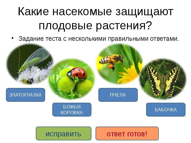 Незаметные защитники урожая. Какие насекомые защищают плодовые растения. насекомые защитники урожая. незаметные защитники урожая 4 класс презентация.