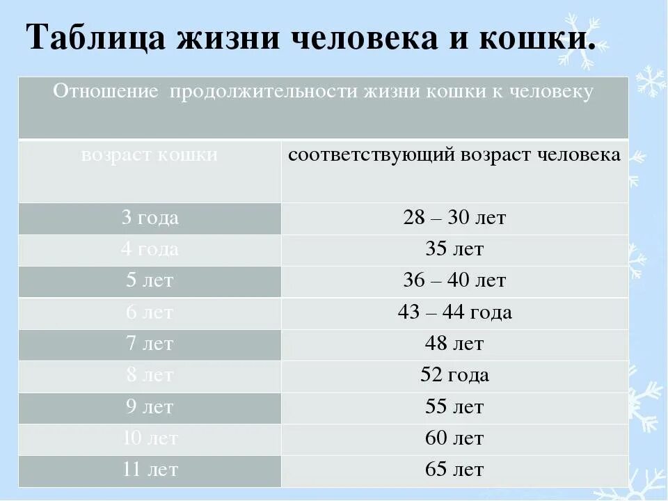 Сколько лет живут домашние кошки. Продолжительность жизни человека таблица. Продолжительность жизни кошек. Средняя Продолжительность жизни кошек. Продолжительность жизни кошек таблица.