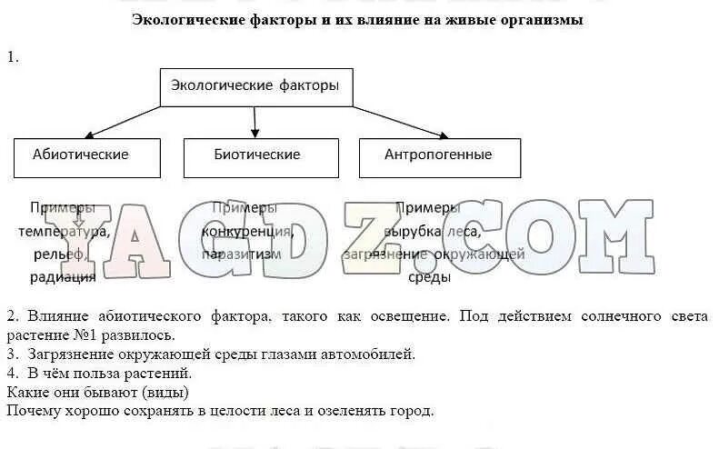 Экологические факторы 5 класс биология тест. Экологические факторы таблица. Экологические факторы 5 класс биология. Экологические факторы 5 класс таблица. Примеры экологических факторов 5 класс.