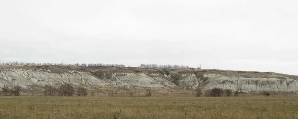 Село петропавловское воронежской области. Воронежская область, Петропавловский район, Новобогородицкое село,. Село глубокое Петропавловского района Воронежской области. Село глубокое Петропавловского район Воронежская область нач 20 в. Моя малая Родина село Новобогородицкое Петропавловский Воронежская.