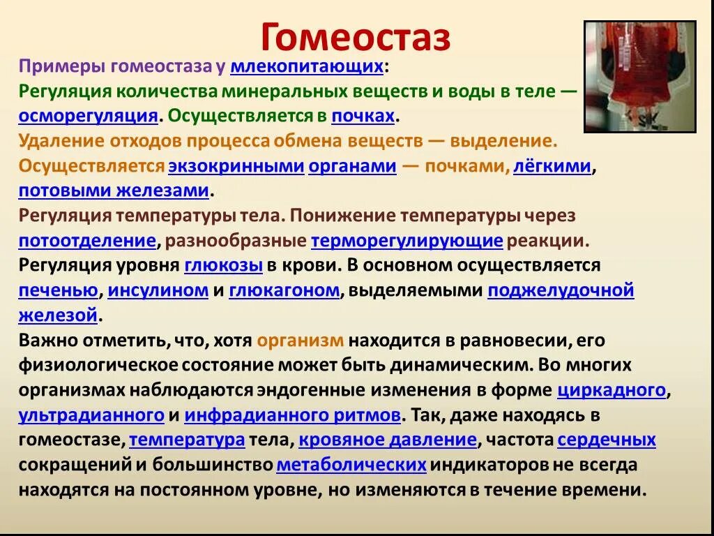 Форум родственников эндогенными. Гомеостаз. Гомеостаз примеры. Гомеостаз в организме человека. Виды гомеостаза.