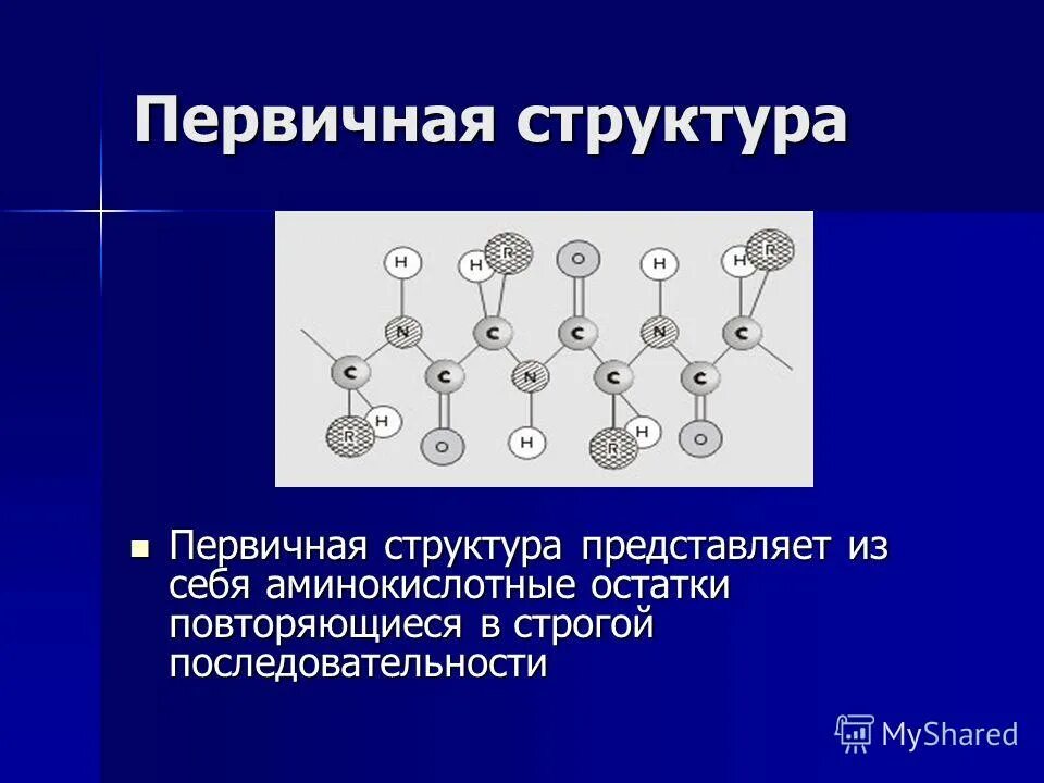 Программа о первичной структуре молекул