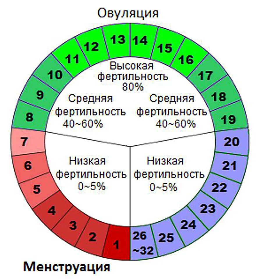 Шансы забеременеть перед