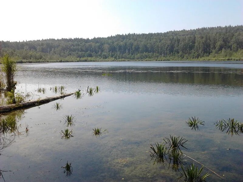 Татыш