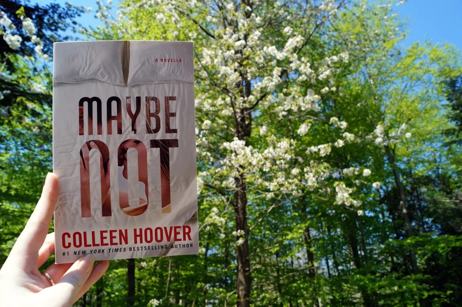 Maybe back. Maybe not Colleen Hoover. Maybe Now Colleen Hoover. Maybe not. Maybe Someday, Colleen Hoover (uk Cover).