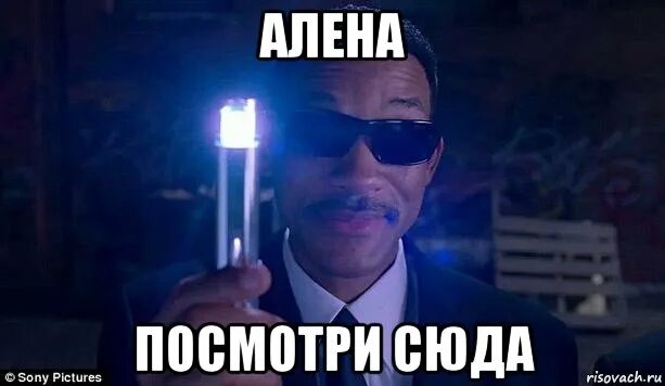 Сюда знаменитый. Сюда знаменитый