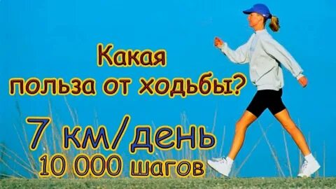 Каждый день ездить не