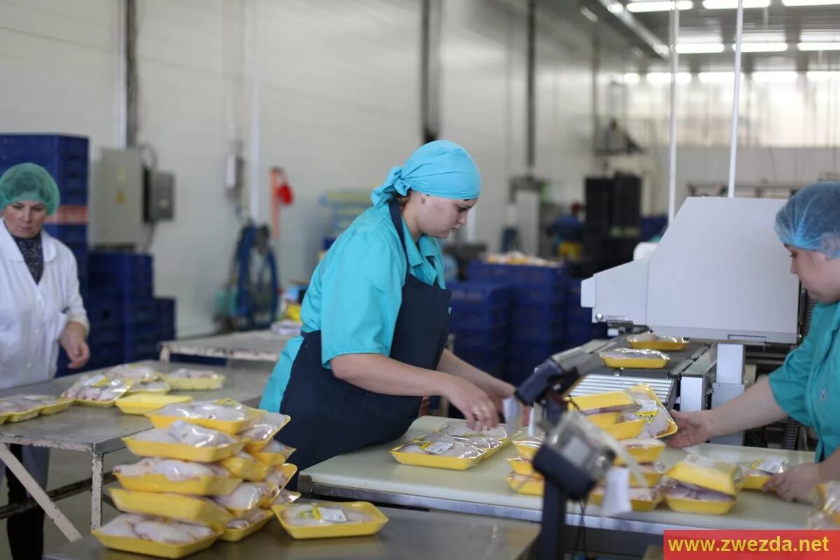 пищевая промышленность. упаковщицы вакансии орел. всеволожск женщина работа фасовщица карта. упаковщик/упаковщица новогодних подарков. производство продуктов питания.