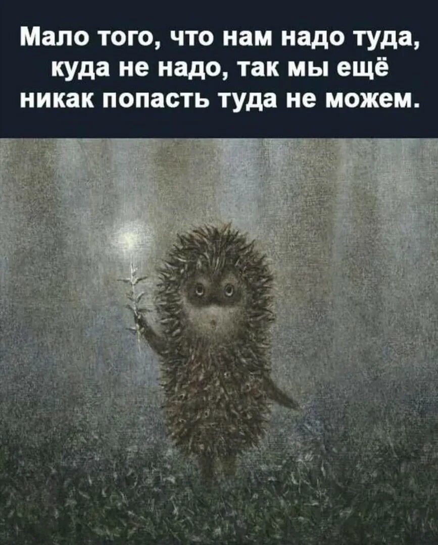 Вышел ежик из тумана содержание. Вышел ёжик из тумана. ежик уходит в туман. ежик в тумане с мешочком. ёжик в тумане фильм.