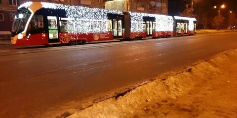 Лев пермь