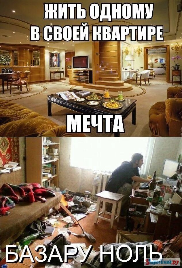 Не хочу жить в своем доме. Не хочу жить в своем доме. Кот и кот котоматрица. Домик на природе. Коты приколы с надписями.