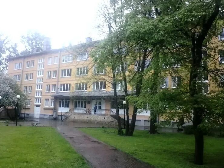 Ддт удомля танцы. Директор ддт петергоф. Мон кураж выступления ддт. Дом рубинштейна в петергофе. А.