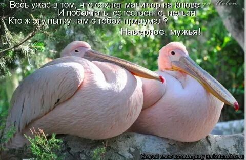Хватит беситься