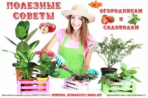 Садоводы профессионалы интернет магазин