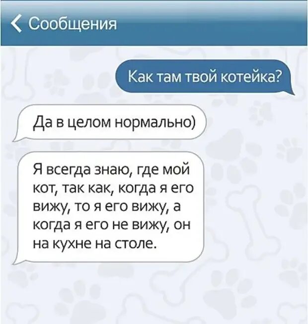 Переписка животных. Смешные сообщения от животных. смешные переписки животных и людей. переписки с животными. смешные смс про животных..