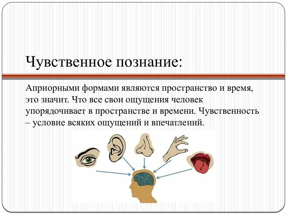 Представление как форма чувственного. Формы чувственного познания. Форма чувственного познания Канта. Чувственное познание. К формам чувственного познания относятся.