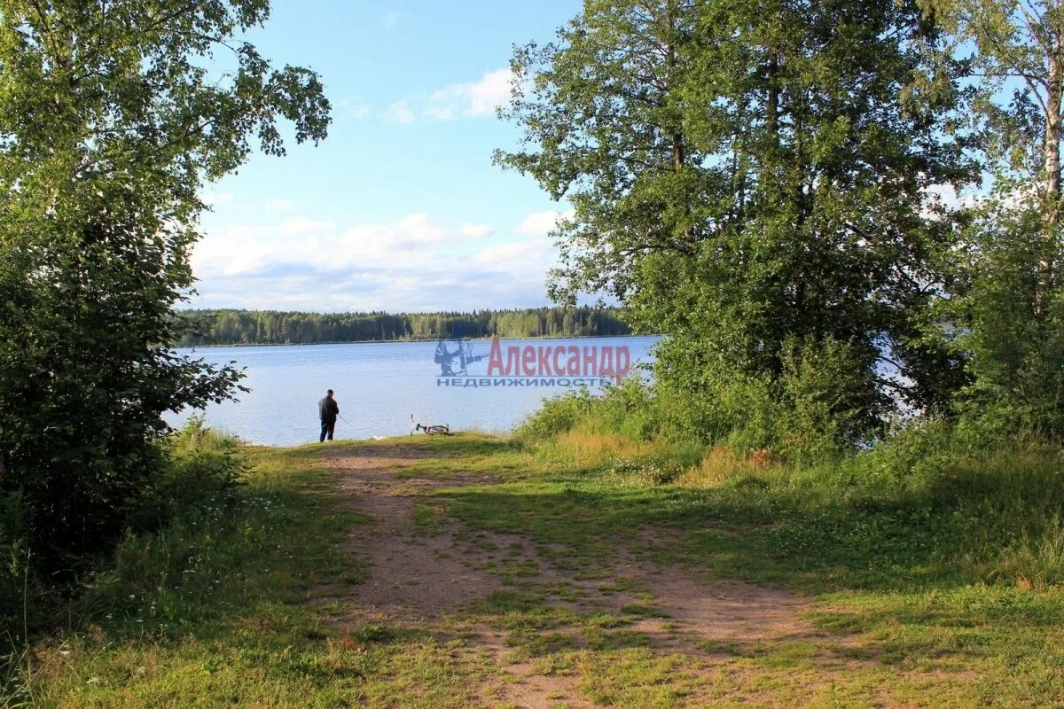 Петровское лен обл. Петровское лен обл