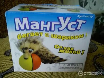 Вертихвост