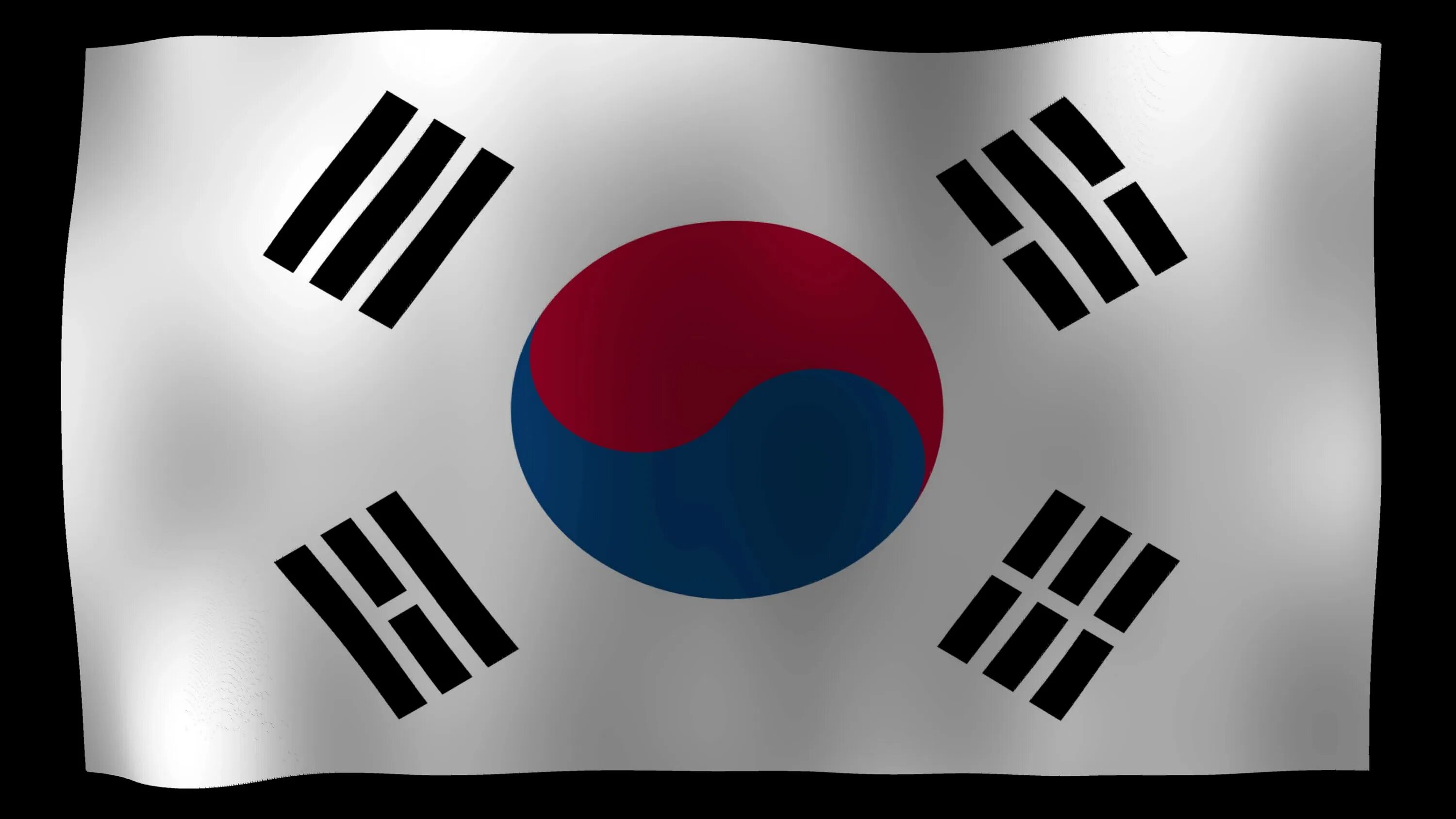 Флаг Республики Корея. Кыргызско корейский флаг. Флаг Республики Кореи в 1950. Бирка корейский флаг.