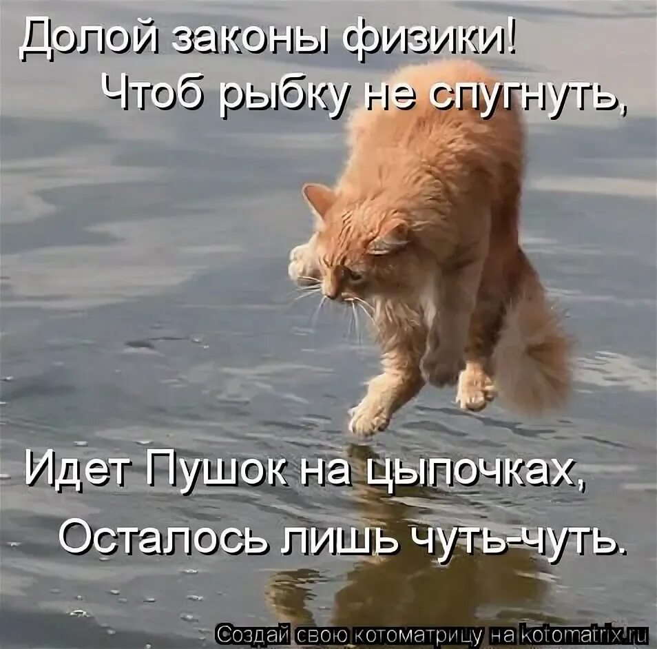 Самое главное сказку не спугнуть. Не спугнуть. Не спугни рыбу. Главное не спугнуть картинка. Песня не спугните первую любовь