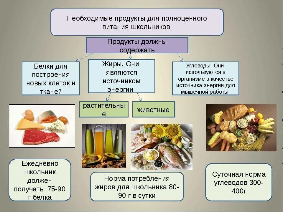 Пищевые продукты что входит