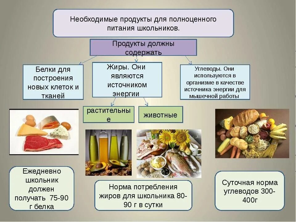 Рацион питания школьника с продуктами. Необходимые продукты для полноценного питания. Основы рационального питания. Разнообразие пищи. Состав основных продукций