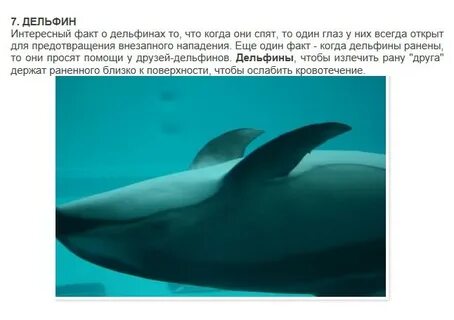 Пожалуй наиболее интересная особенность