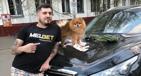 Шоу паши