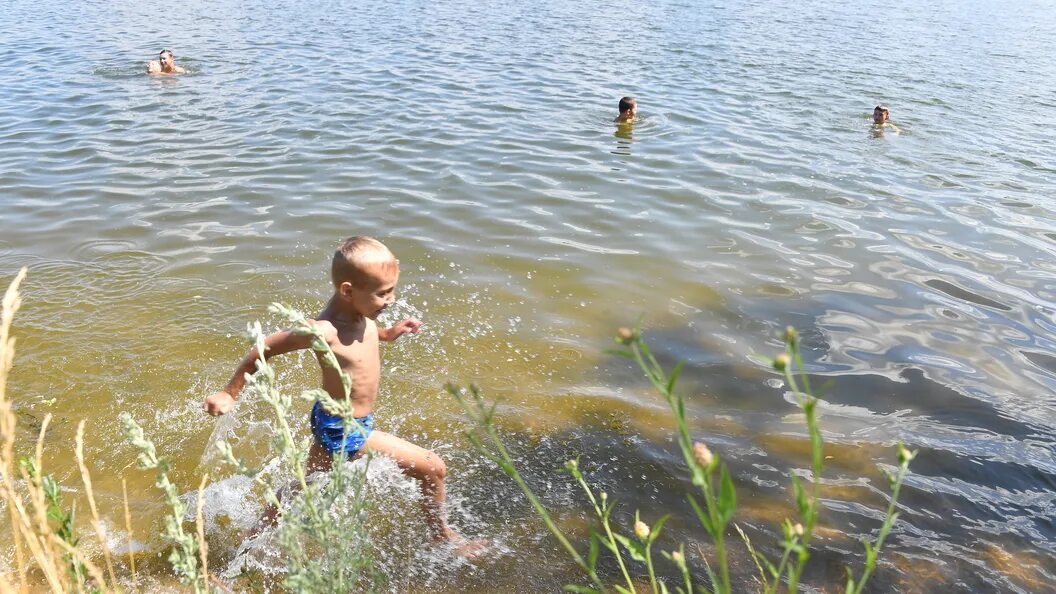 Водоемы места купания. Купание в чистом водоеме. Купание в Подмосковье. Купаемся в пруду Донецкая обл. Купание без воды